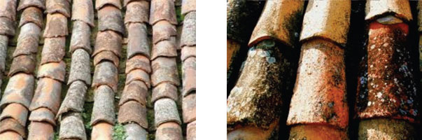 roof-tile